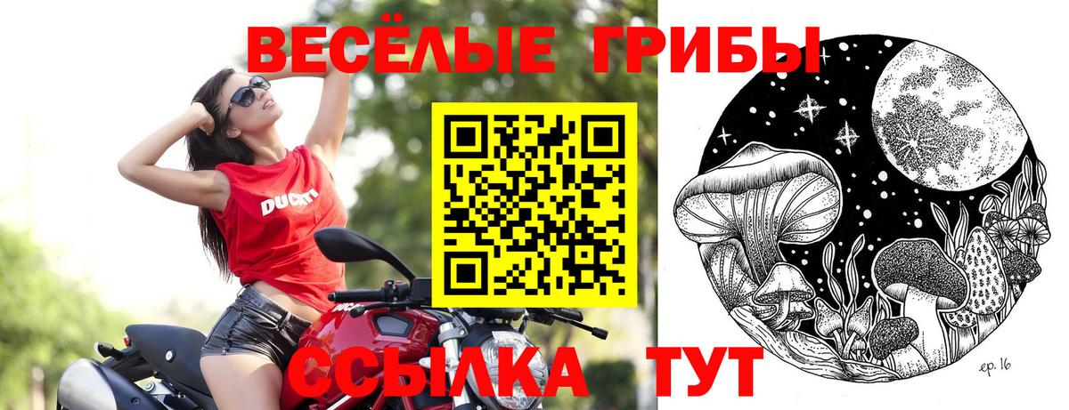 Галлюциногенные грибы Psilocybine cubensis Кропоткин