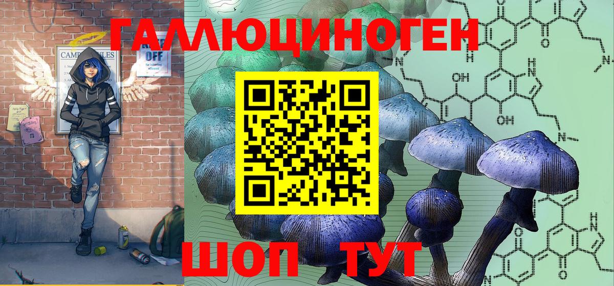 купить наркотик  Галлюциногенные грибы GOLDEN TEACHER  Вход с VPN  Кропоткин 